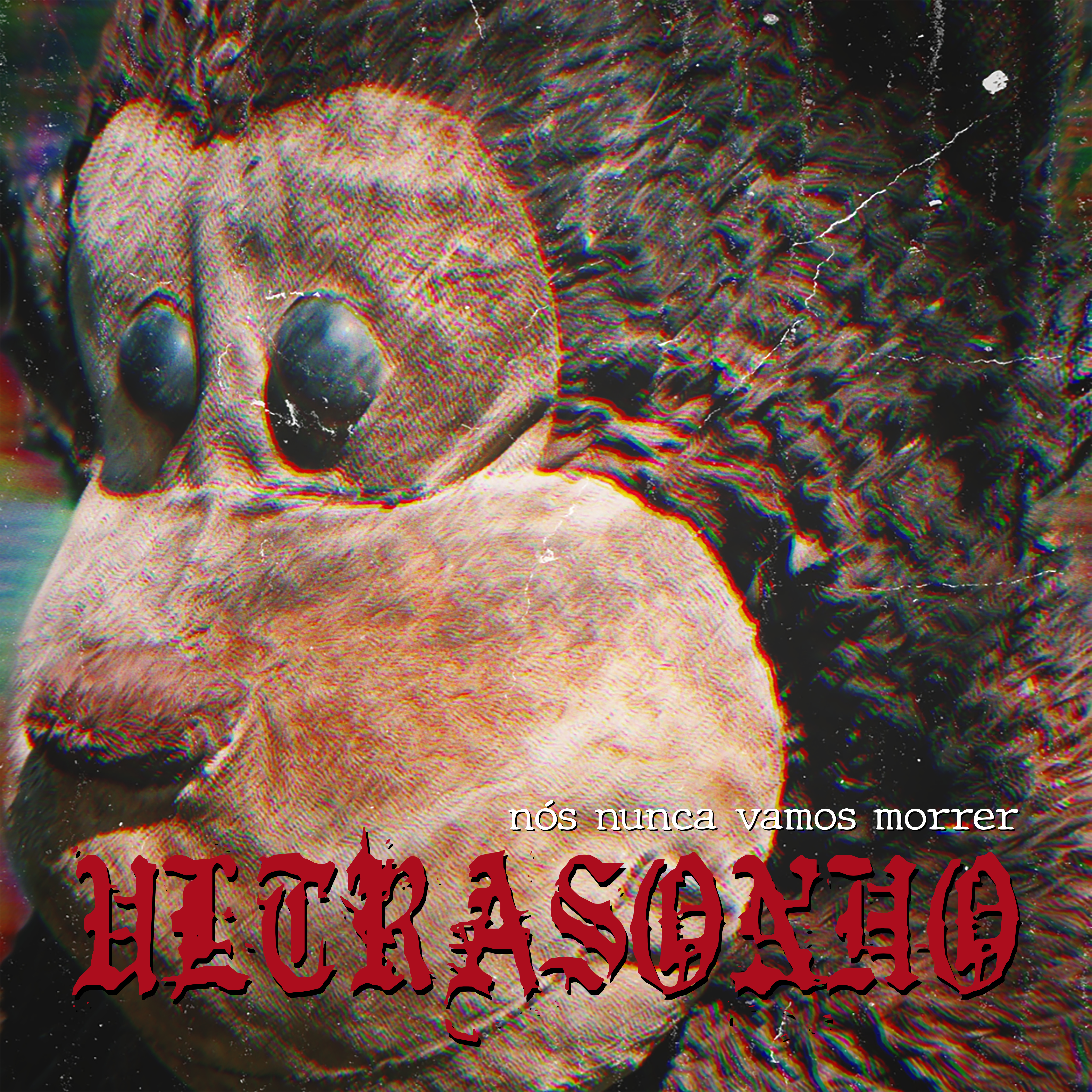 Capa do Álbum: nós nunca vamos morrer - U L T R A S O N H O